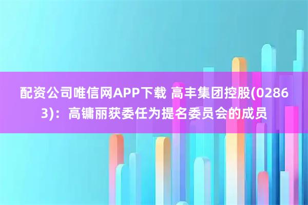 配资公司唯信网APP下载 高丰集团控股(02863)：高镛丽获委任为提名委员会的成员