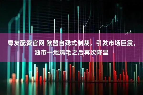 粤友配资官网 欧盟自残式制裁，引发市场巨震，油市一地鸡毛之后再次降温