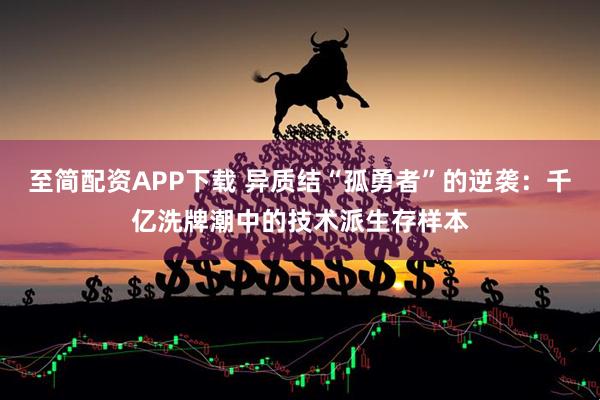 至简配资APP下载 异质结“孤勇者”的逆袭：千亿洗牌潮中的技术派生存样本